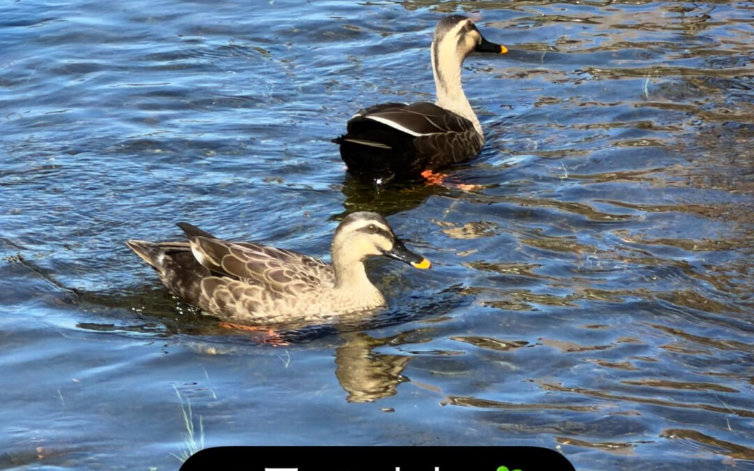 春が近づいてきましたね^ ^