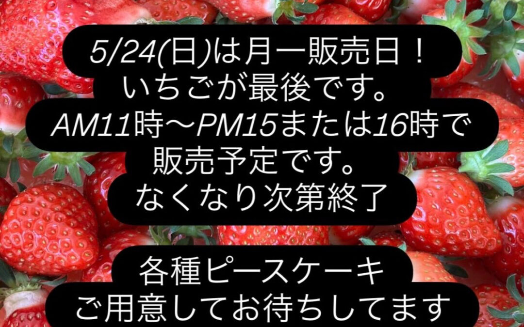 5月23日日曜日11時〜